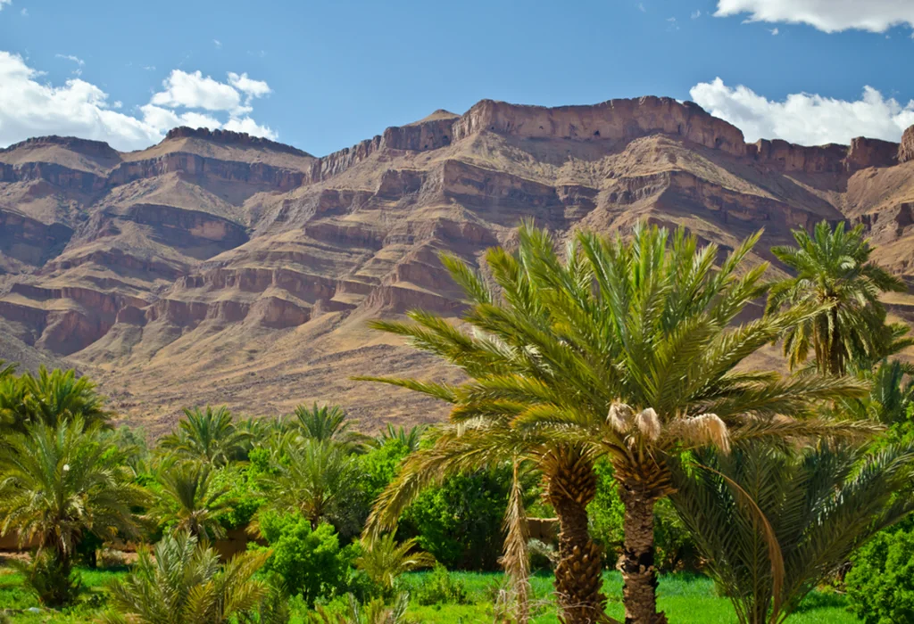 morocco tour from marrakech to zagora